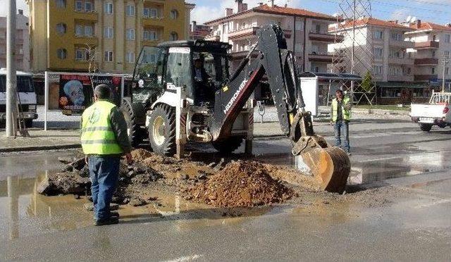 Muski Kötekli’yi Yeniliyor