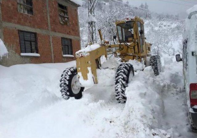 Ordu'da Kar Yolları Kapattı