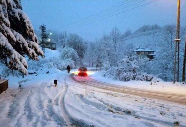 Ordu'da Kar Yolları Kapattı