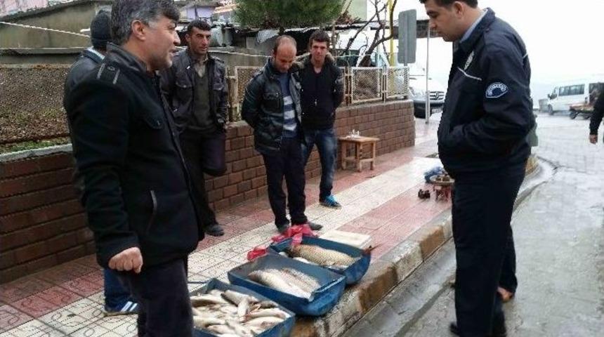 Barajda 13 Kiloluk Sazan Balığı Yakalandı