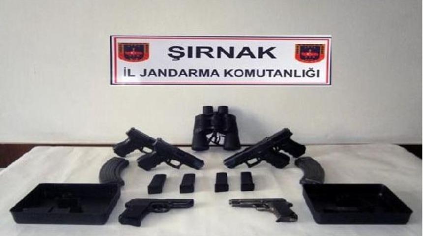 İdil'de Ydg-H Silahları Ile Pyd Ila&ccedil;ları Ele Ge&ccedil;irildi