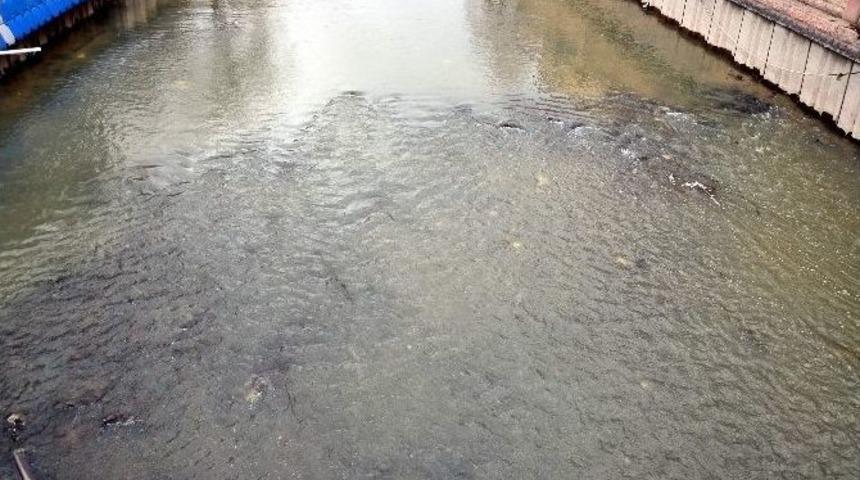 Porsuk &Ccedil;ayı&rsquo;nda Su Seviyesi D&uuml;şt&uuml;