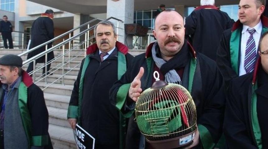 Edirne Barosu Avukatlarından Savcılara Protesto Eylemi