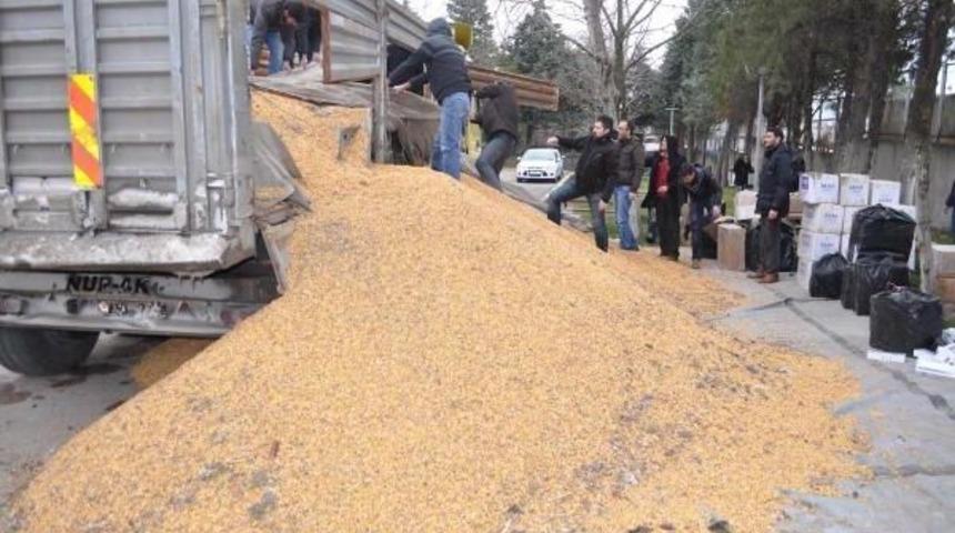 Mısır Arasına Gizlenmiş 70 Bin Paket Kaçak Sigara Ele Geçirildi