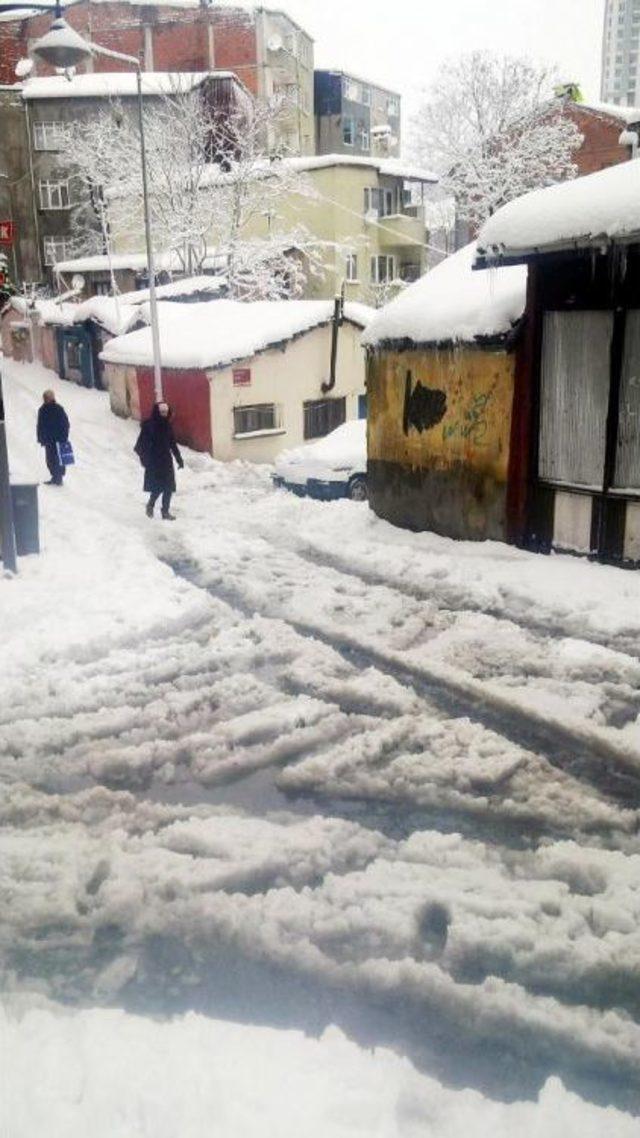 Cadde Ve Sokaklar Karla Kaplandı, Ağaçlar Devrildi...