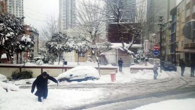 Cadde Ve Sokaklar Karla Kaplandı, Ağaçlar Devrildi...