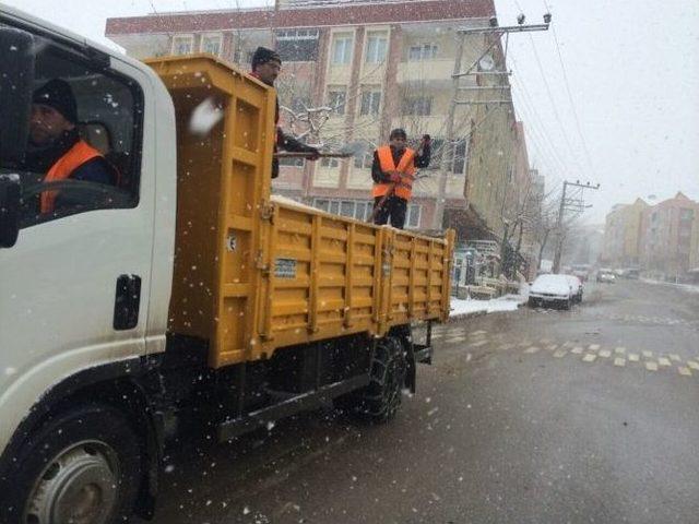 Darıca Da Kış Mesaisi