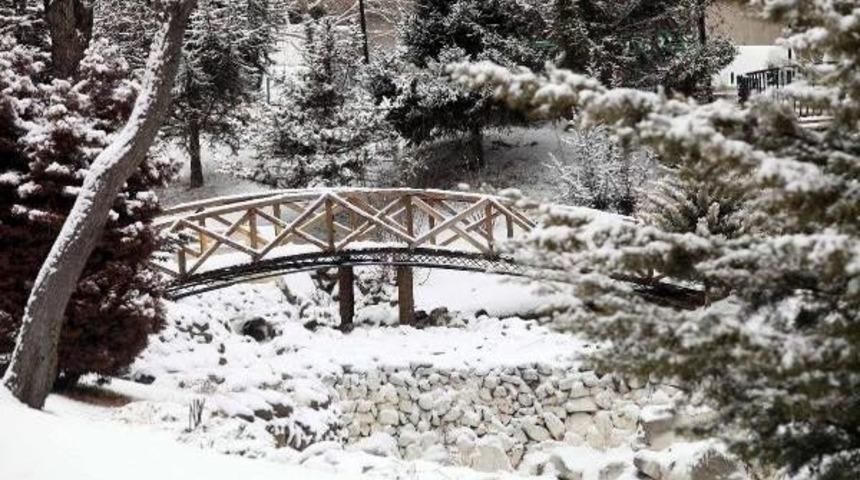 Ankara'da Kar Yağışı Başladı Ekipler Yollara Düştü (2)