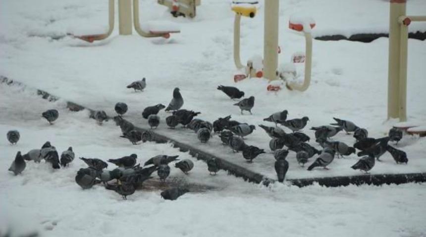 Samsun'da Kar Bitti, Yağmur Başladı