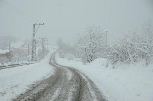 Samsun'da Kar Bitti, Yağmur Başladı