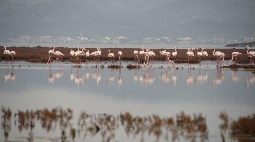 &lsquo;bir Başka Aliağa&rsquo; İ&ccedil;in Başvurular Başladı