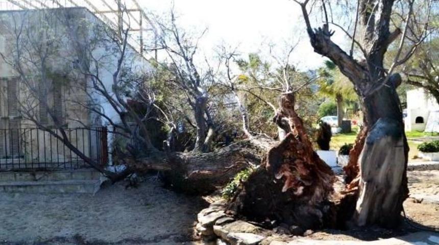 Bodrum'da Fırtına Kabusu