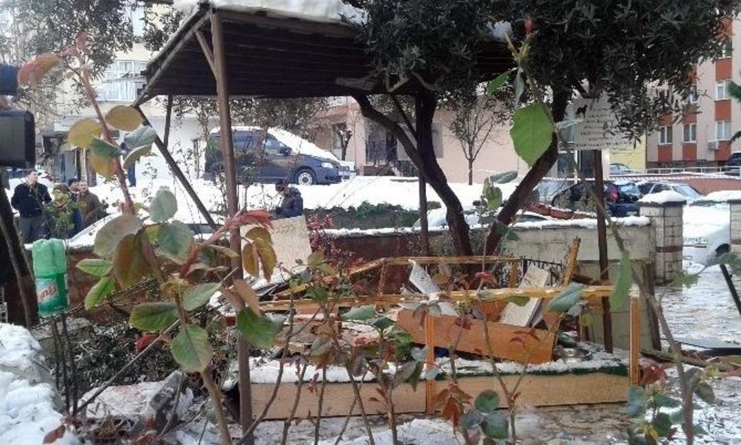 Patlayan Telefon Kutusu K&ouml;peği Kul&uuml;besinden Etti