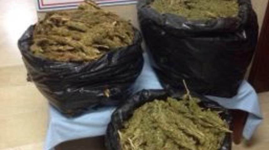 Diyarbakır&rsquo;da 35 Kilogram Esrar Ele Ge&ccedil;irildi