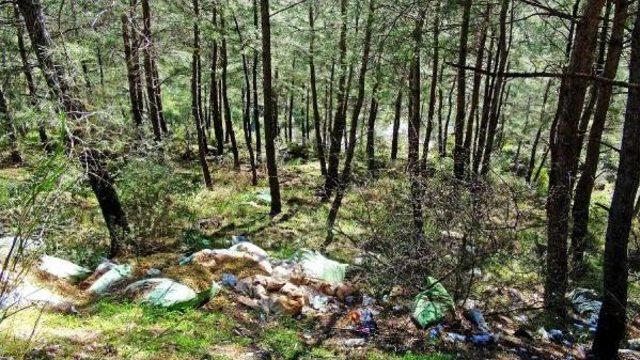 Turizm Cenneti Marmaris'te Moloz Kirliliği