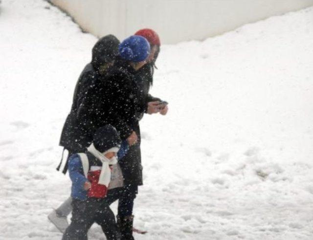 Gaziantep, Şanlıurfa Ve Kilis Kara Teslim