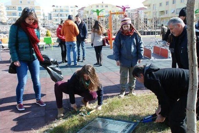 Didim’e Gelen Avrupalı Gençler Temizlik Yaptı