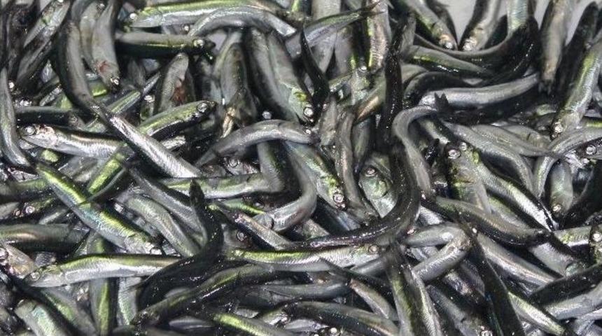 Balığa &rsquo;kar&rsquo; Zammı