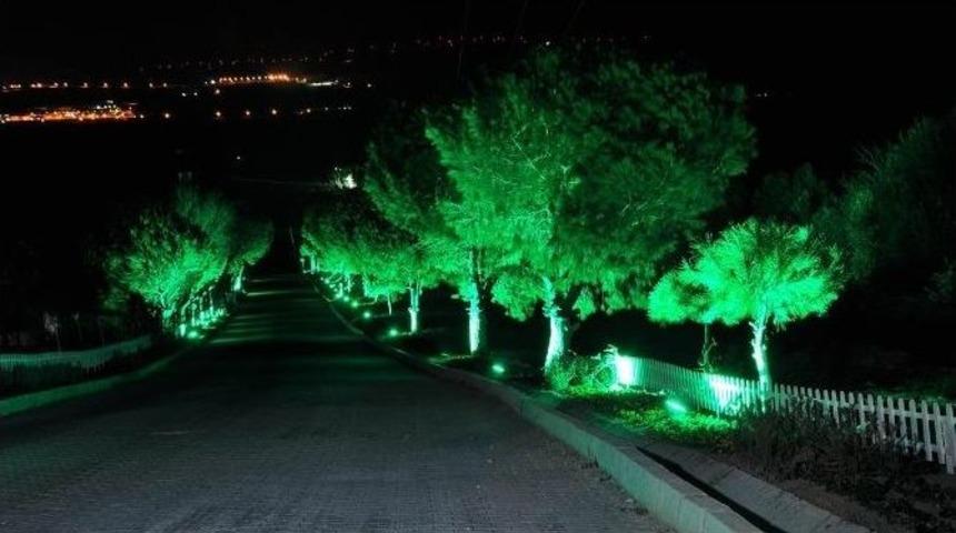 G&uuml;zelhisar&rsquo;da Mutlu Sona Ulaşıldı