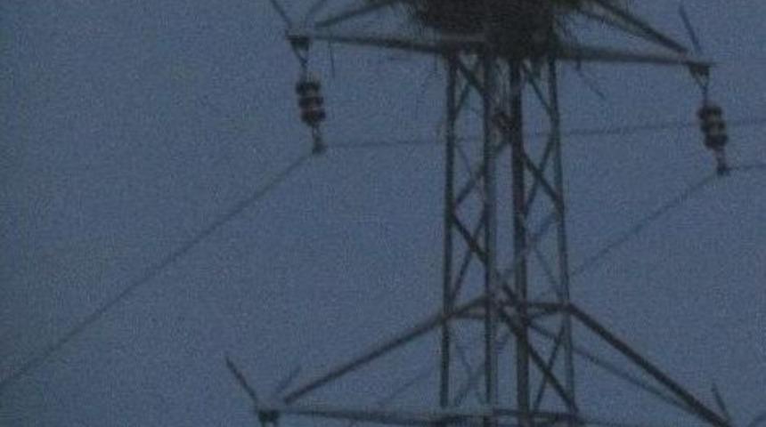 Erken Gelen Leylekleri Kar Vurdu