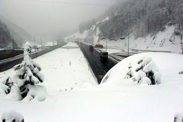 Bolu Dağı'nda Kar Yağışı