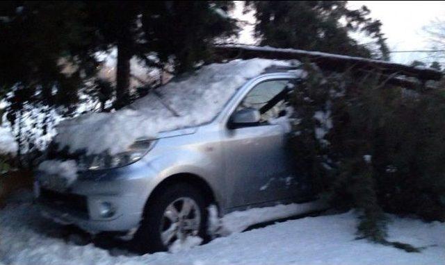 (özel Haber) Lüks Cip Karın Devirdiği Çamın Altında Kaldı