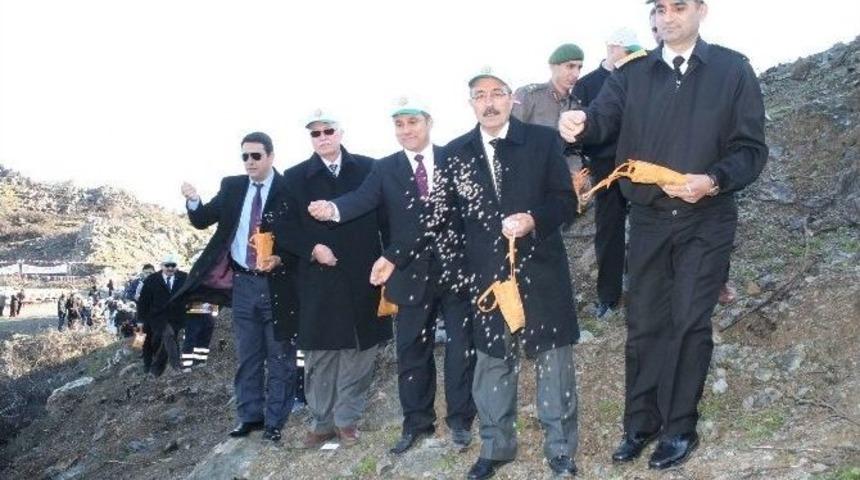 Marmaris&rsquo;in Yanan Ciğerlerine 2 Milyon Tohum Ekildi