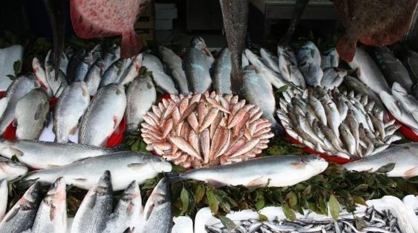 Balık Fiyatları El Yakıyor
