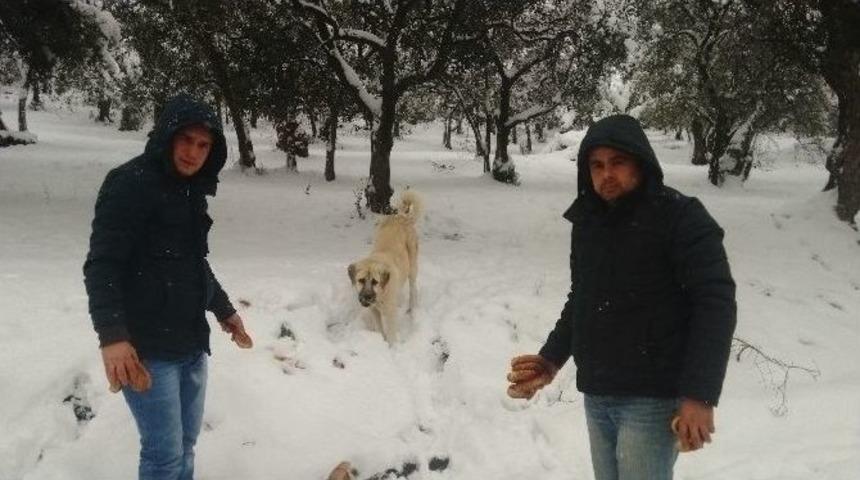 Karda Hayvanlar Unutulmadı