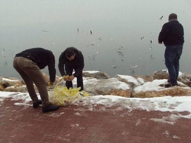 Karda Hayvanlar Unutulmadı