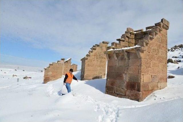 Sokak Hayvanları, Kuşlar Ve Yılkı Atları Unutulmadı