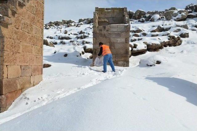 Sokak Hayvanları, Kuşlar Ve Yılkı Atları Unutulmadı