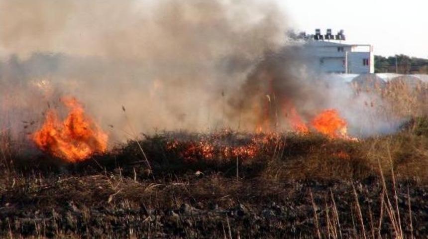 Kuş Cennetinde Yangın
