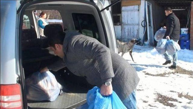 Başkan Şahiner Sokak Köpeklerine Yiyecek Gönderdi