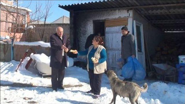 Başkan Şahiner Sokak Köpeklerine Yiyecek Gönderdi