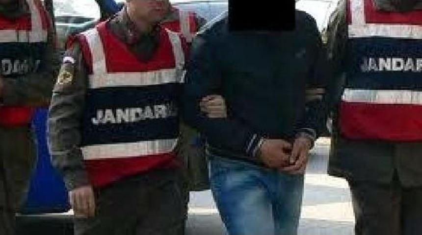 Zeytinyağı Fabrikasından Hırsızlığa 1 Tutuklama