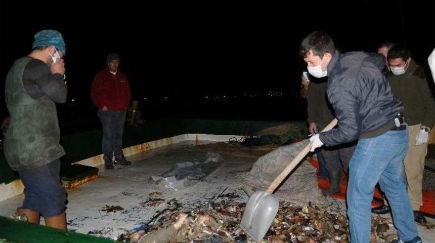 Balık&ccedil;ıların Ağına Erkek Cesedi Takıldı
