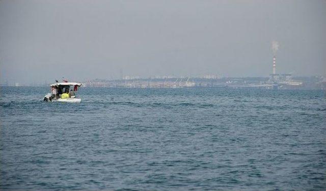 İskenderun Körfezi’nde Toplu Balık Ölümleri