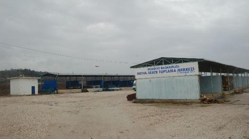 Lapseki&rsquo;ye Meyve Hali