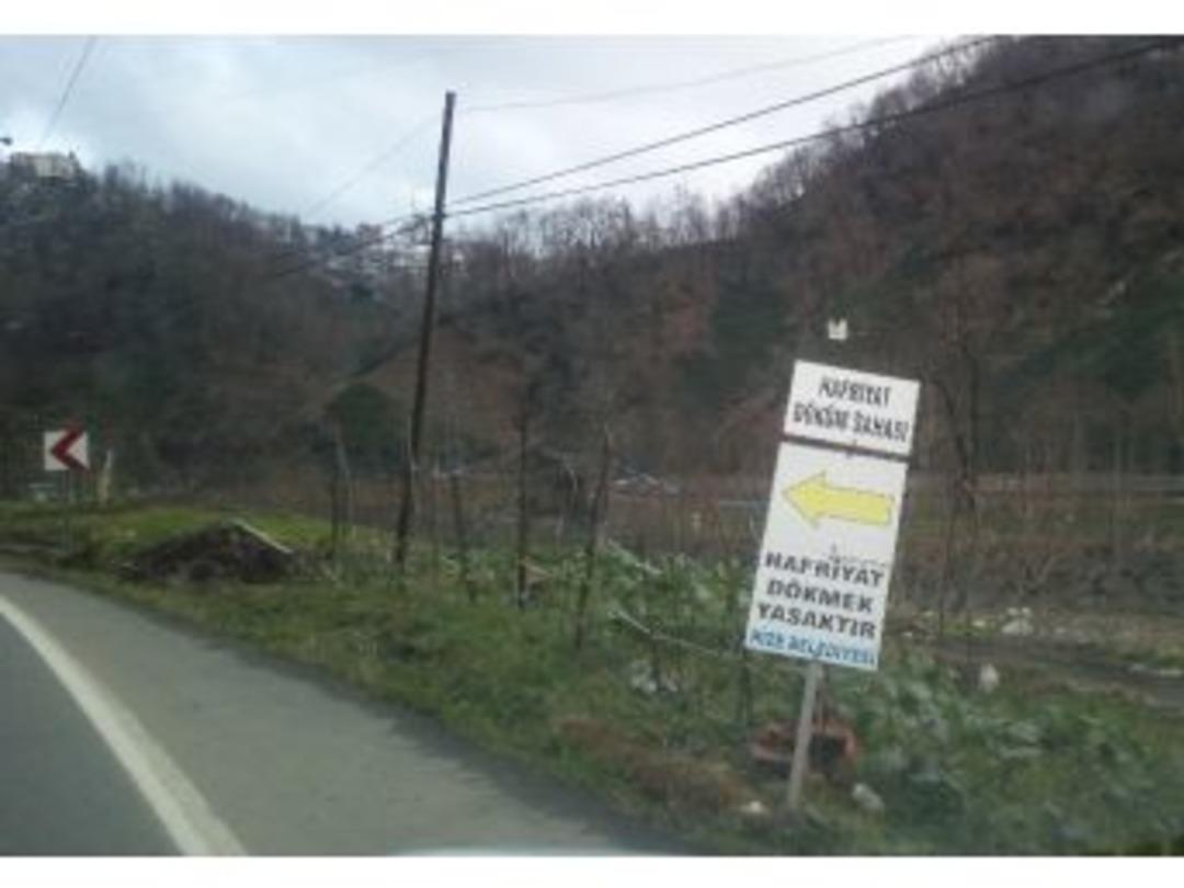 Bu Tabeladan Ne Anlayalım ?