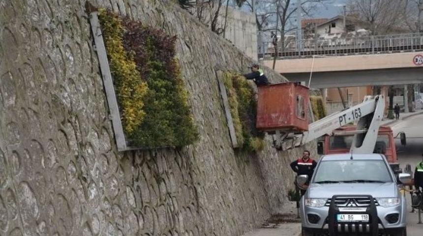 Dikey Bah&ccedil;eler K&ouml;rfez&rsquo;in Geneline Yayılıyor