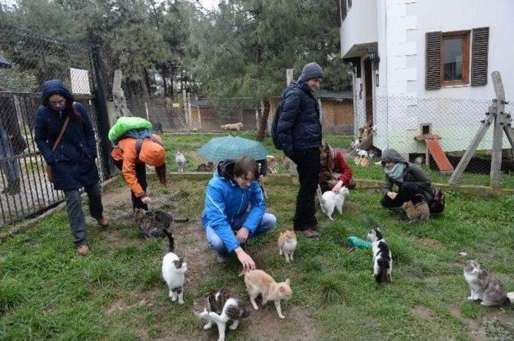 Çek Ve Polonyalı Öğrenciler Barınağa Hayran Kaldı G1