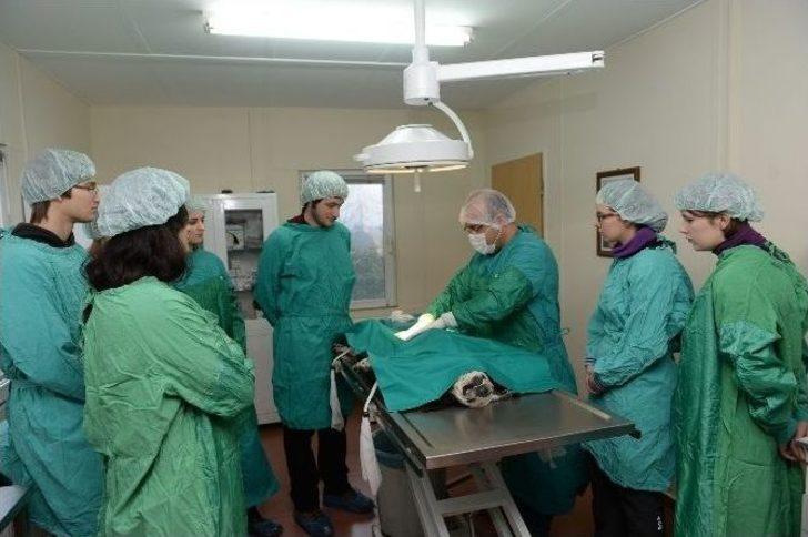 Çek Ve Polonyalı Öğrenciler Barınağa Hayran Kaldı G2