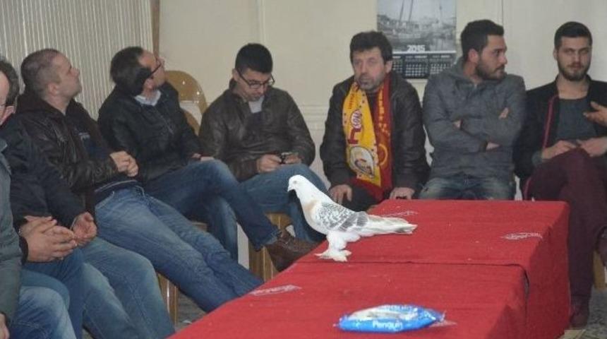 10 Bin Liralık Takla