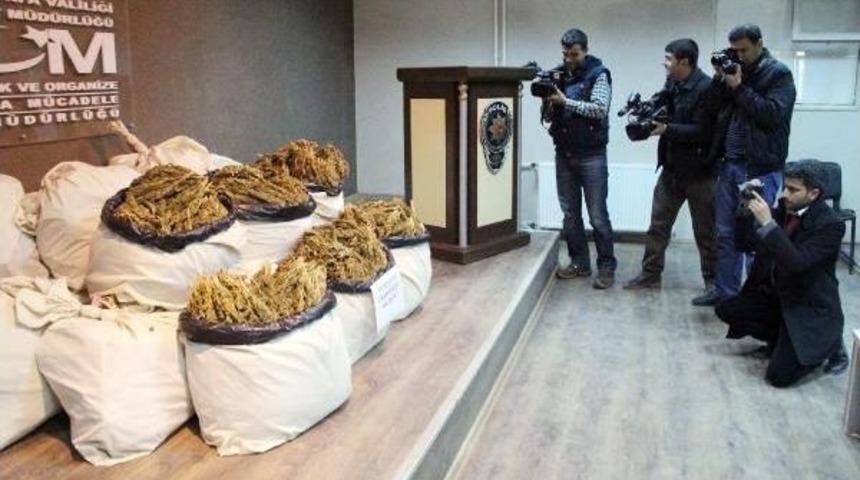 Şanlıurfa'da 300 Kilo 600 Gram Esrara 1 Tutuklama