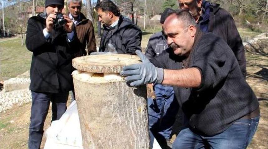 Isparta Mantar Vadisi Oluyor