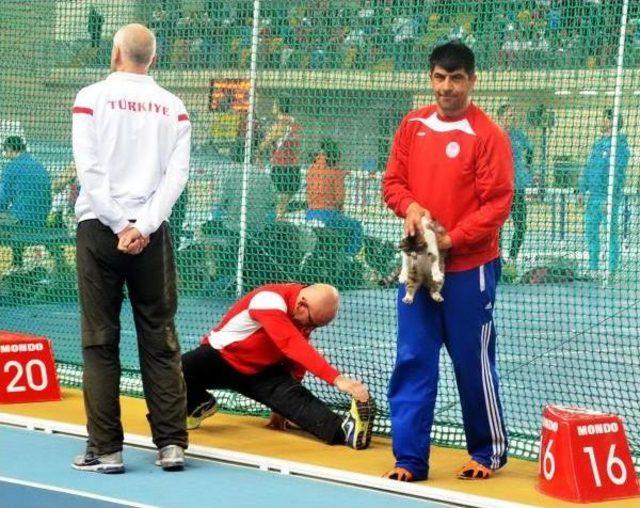 Veteran Atletin Sahiplendiği 'efe', Romanya Yolcusu