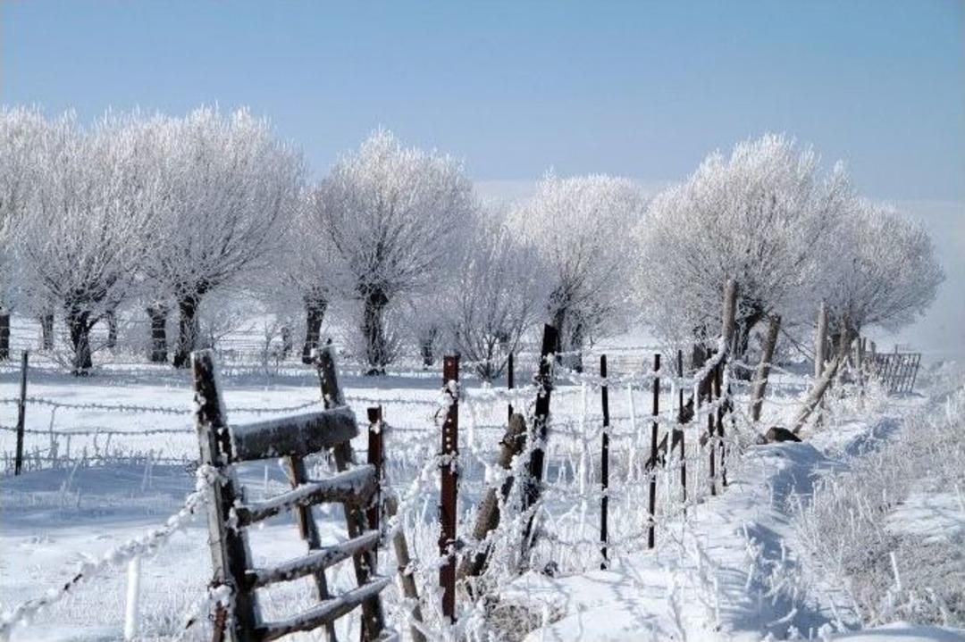 Ardahan&rsquo;da Hayat Dondu