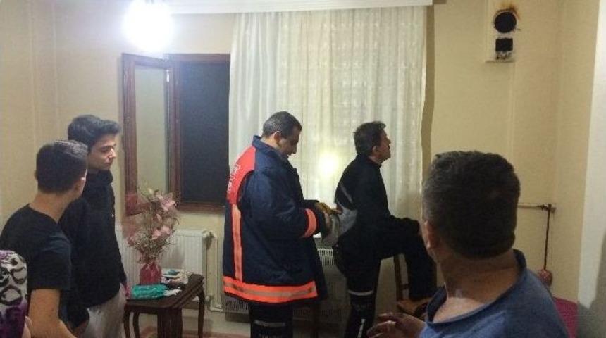 Kullanılmayan Baca Alev Aldı