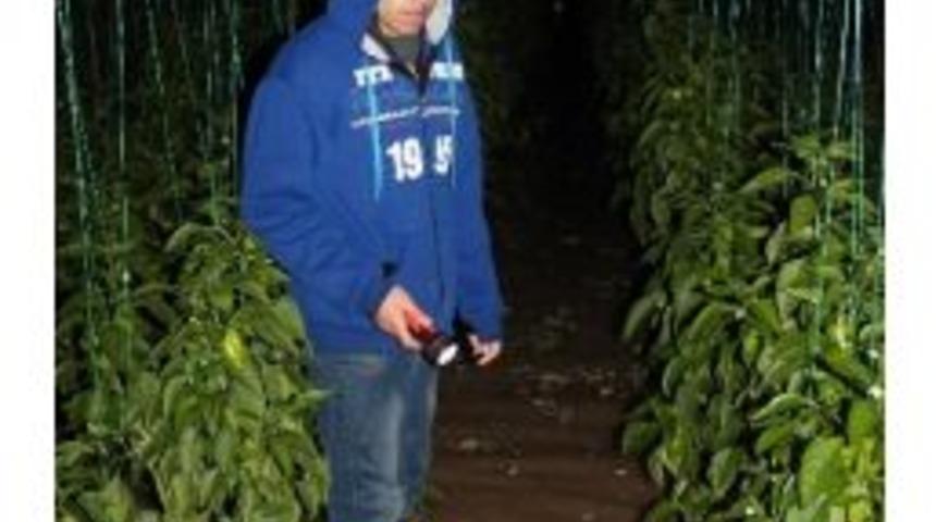 Mavikent Yine Sular Altında